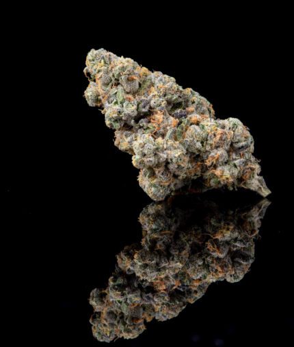 Fish Scale Strain