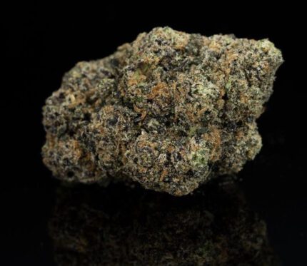Runtz strain